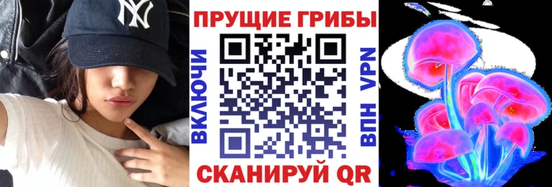 Псилоцибиновые грибы мицелий  Пикалёво 